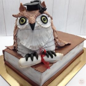 "Nagy Bagoly" Könyv torta