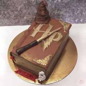 "Varázsló könyv" torta III.
