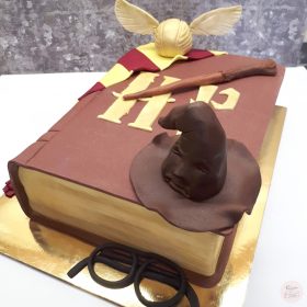 "Varázsló könyv" torta II.